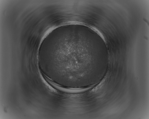 X0000093361381200710191049