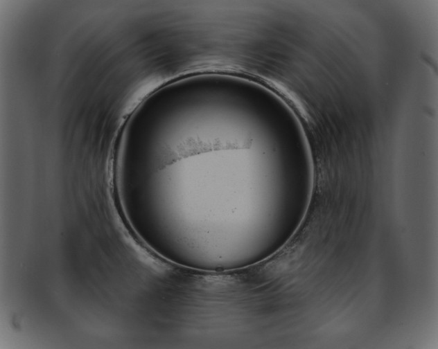 X0000093361383200710191049