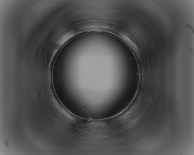 X0000093361384200710191049