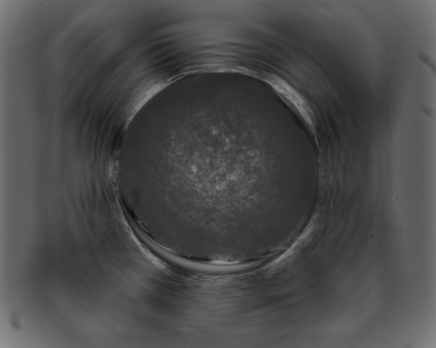 X0000093361385200710191049