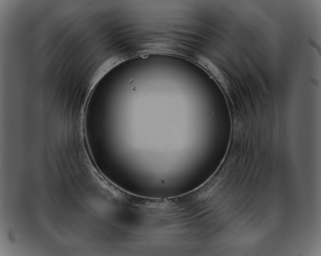 X0000093361386200710191049