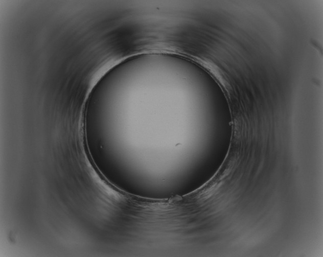 X0000093361387200710191049