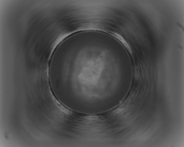X0000093361388200710191049