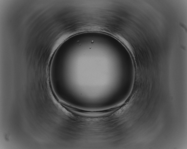 X0000093361389200710191049