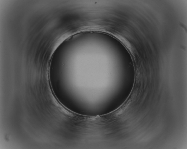 X0000093361390200710191049