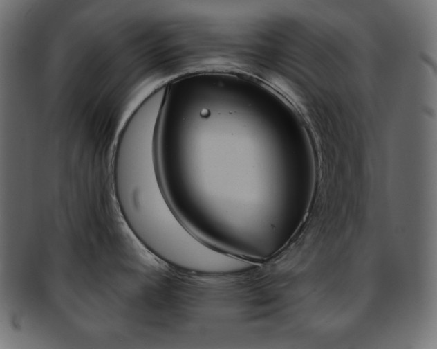 X0000093361392200710191049