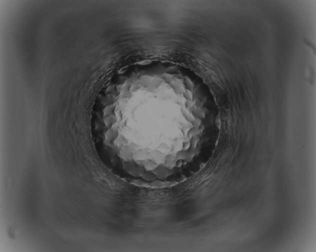X0000093361393200710191048
