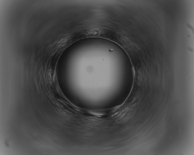 X0000093361394200710191048
