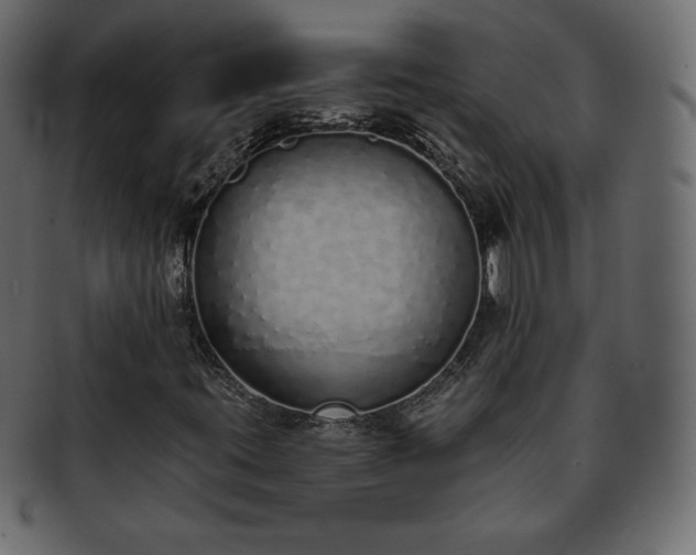 X0000093361395200710191048