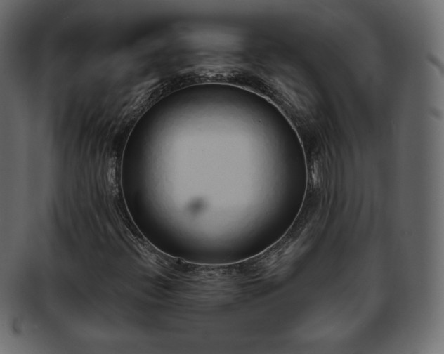 X0000093361396200710191048