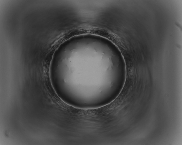 X0000093361397200710191048
