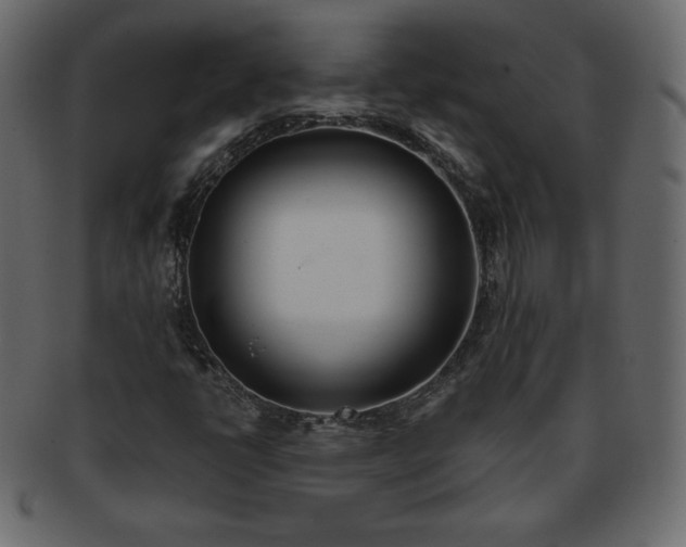 X0000093361398200710191048