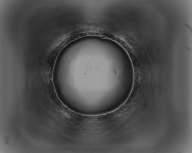 X0000093361399200710191048
