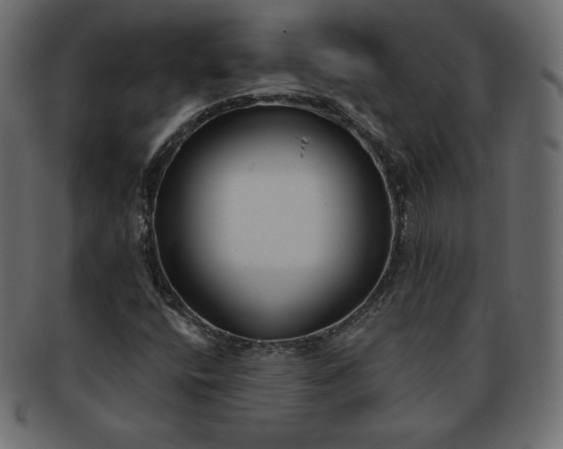 X0000093361400200710191048