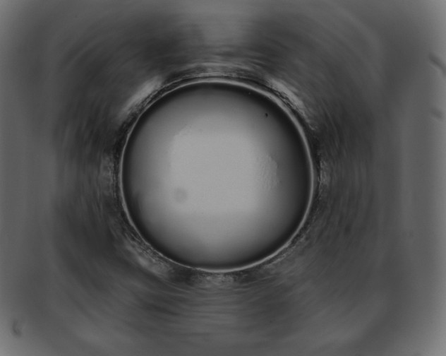 X0000093361403200710191048