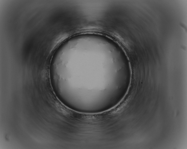 X0000093361405200710191048