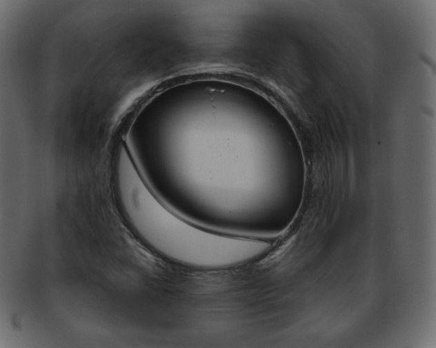 X0000093361406200710191048