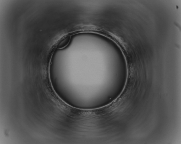 X0000093361407200710191048