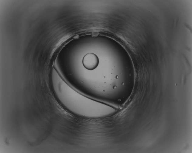 X0000093361410200710191048