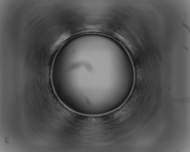 X0000093361411200710191048