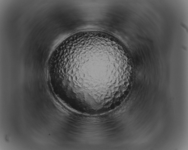 X0000093361413200710191048