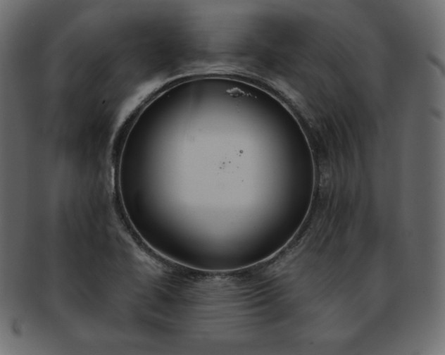 X0000093361414200710191048