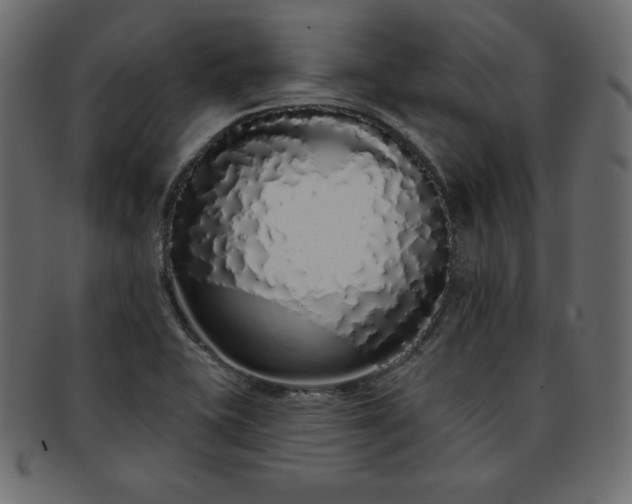 X0000093361415200710191048