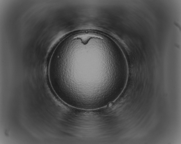 X0000093361416200710191048