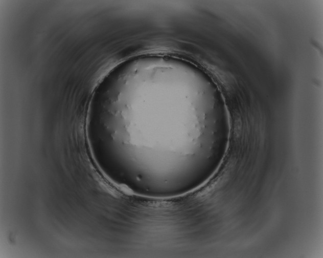 X0000093361417200710191048