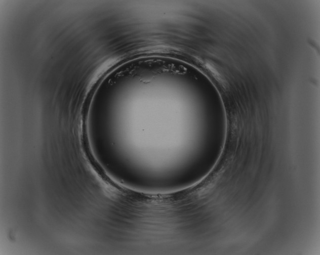 X0000093361418200710191048
