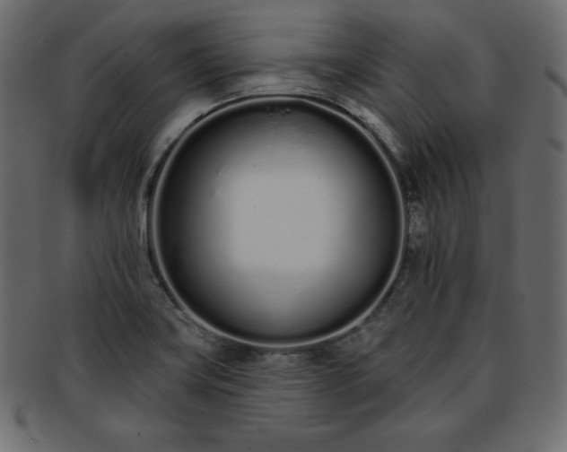 X0000093361419200710191048