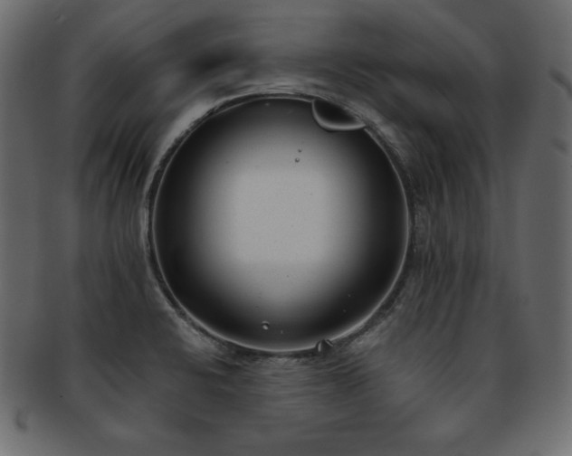 X0000093361424200710191048