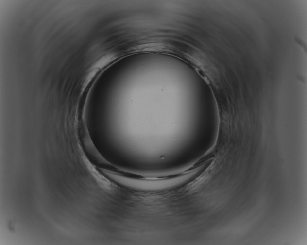 X0000093361426200710191048