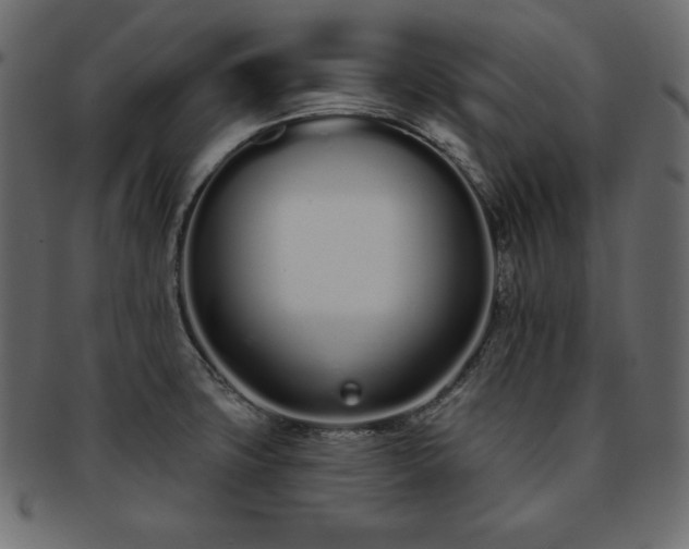 X0000093361427200710191048