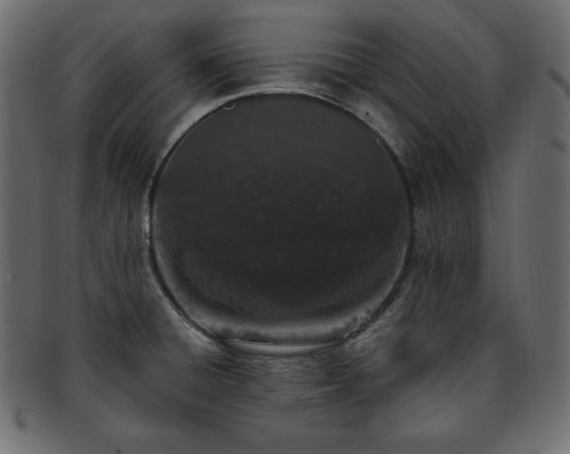 X0000093361428200710191048