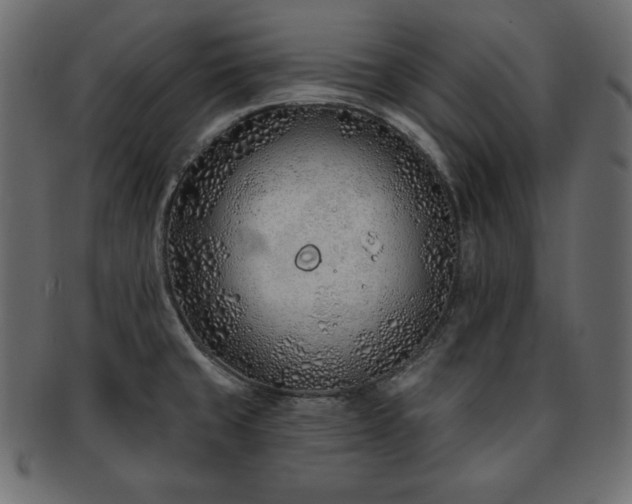 X0000093361429200710191048