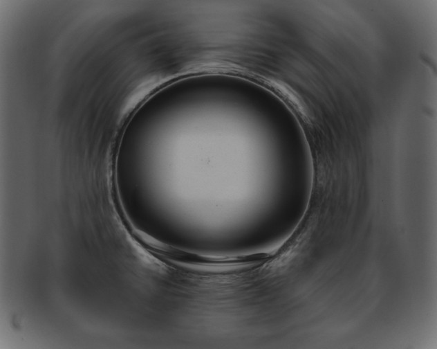 X0000093361430200710191048