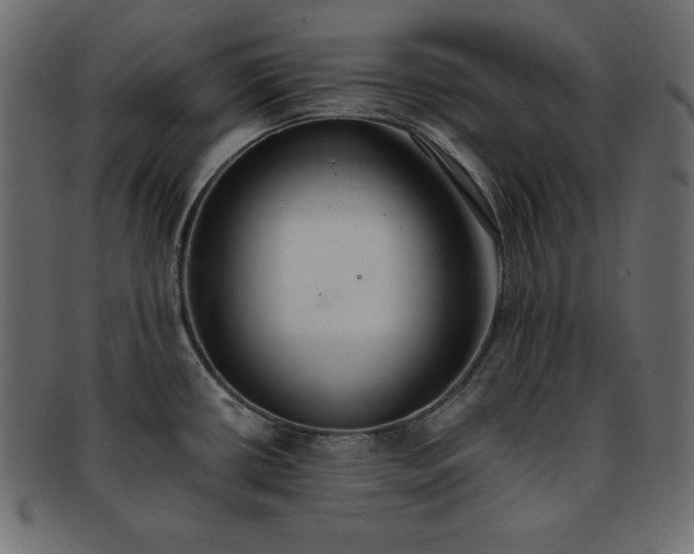 X0000093361434200710191048