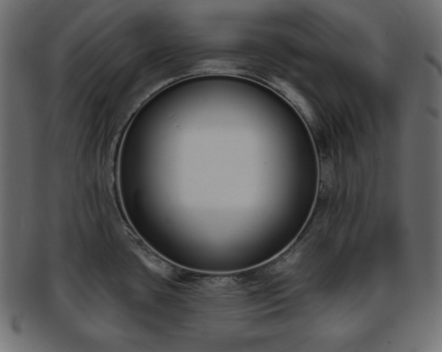 X0000093361435200710191048