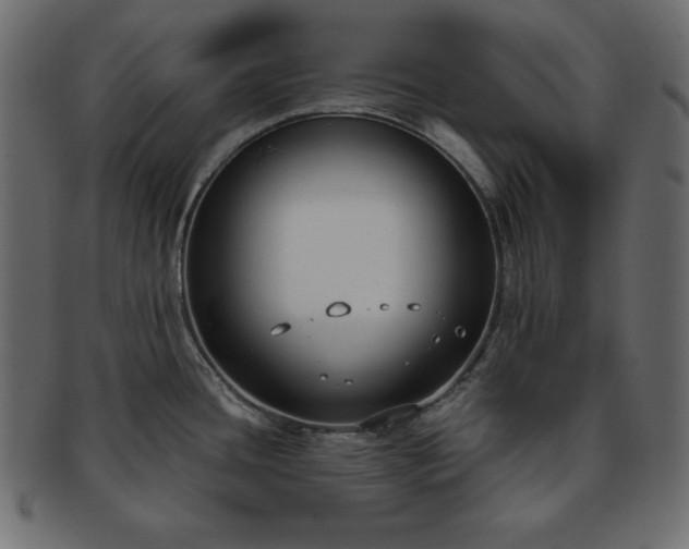 X0000093361436200710191048