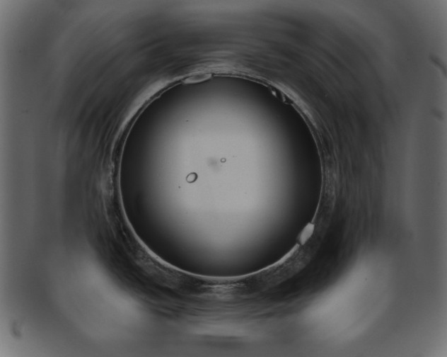 X0000093361438200710191049