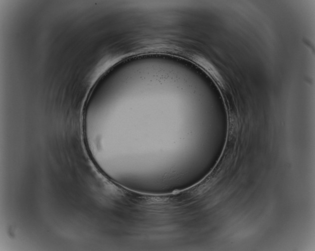 X0000093361439200710191049