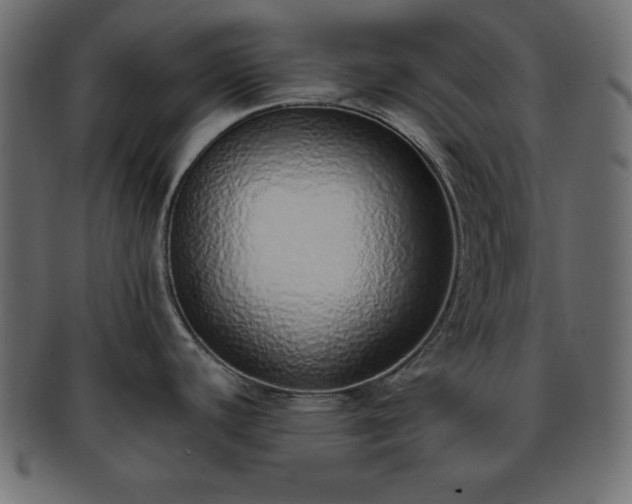 X0000093361440200710191049