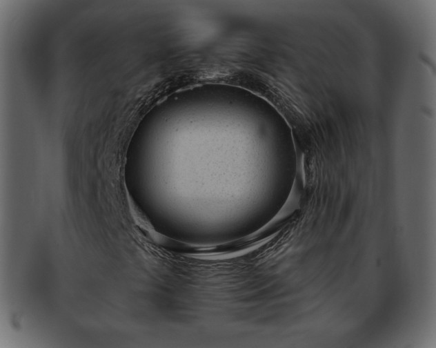 X0000093361441200710191048