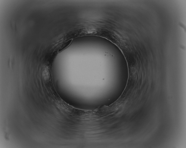 X0000093361442200710191048