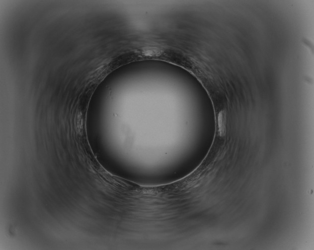 X0000093361443200710191048