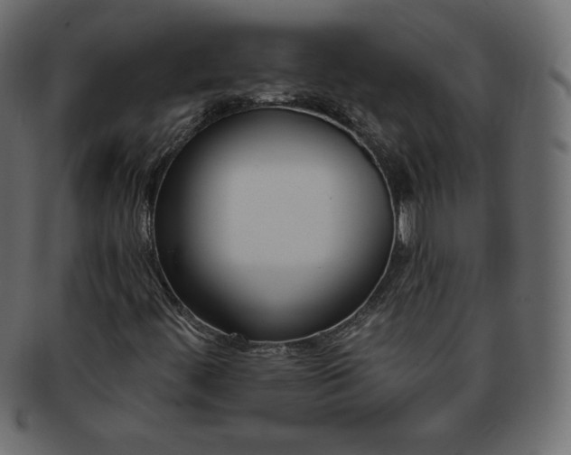 X0000093361444200710191048