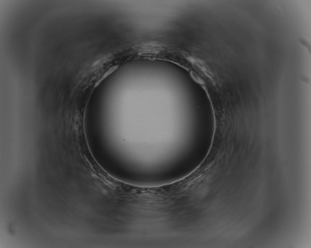 X0000093361445200710191048