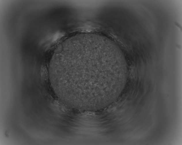 X0000093361446200710191048