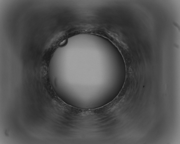 X0000093361447200710191048